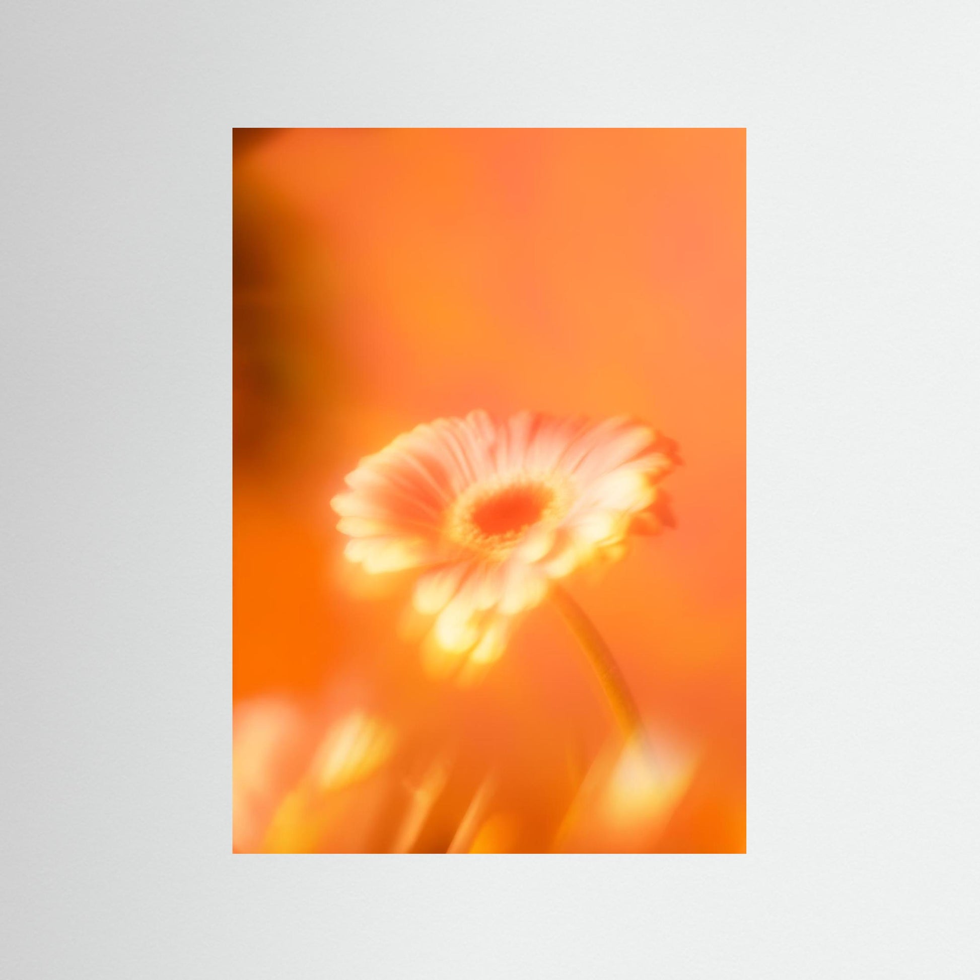 Botanical Dream - III