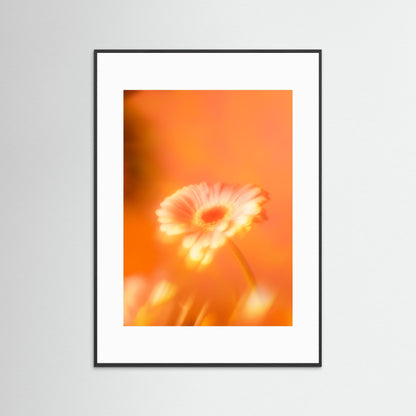 Botanical Dream - III