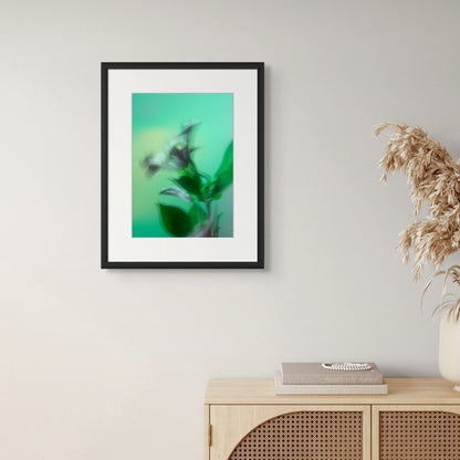 Botanical Dream - II