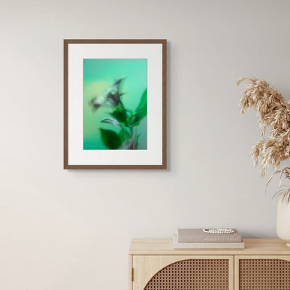 Botanical Dream - II