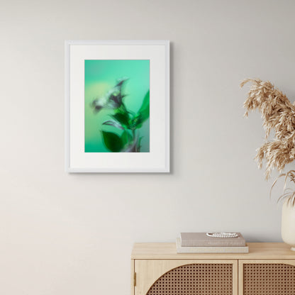 Botanical Dream - II