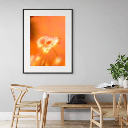 Botanical Dream - III