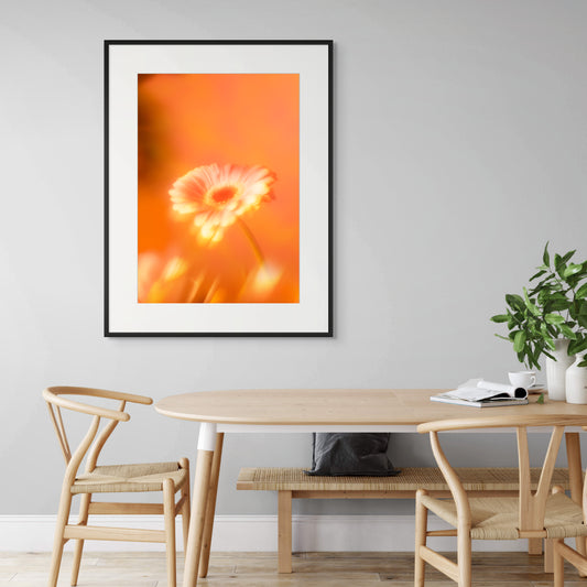 Botanical Dream - III