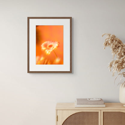 Botanical Dream - III