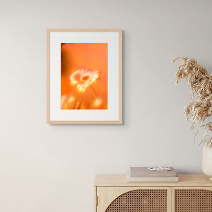 Botanical Dream - III