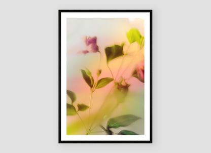 Botanische Droom - I 