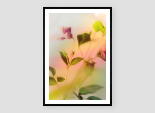 Botanische Droom - I 