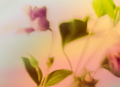 Botanische Droom - I 