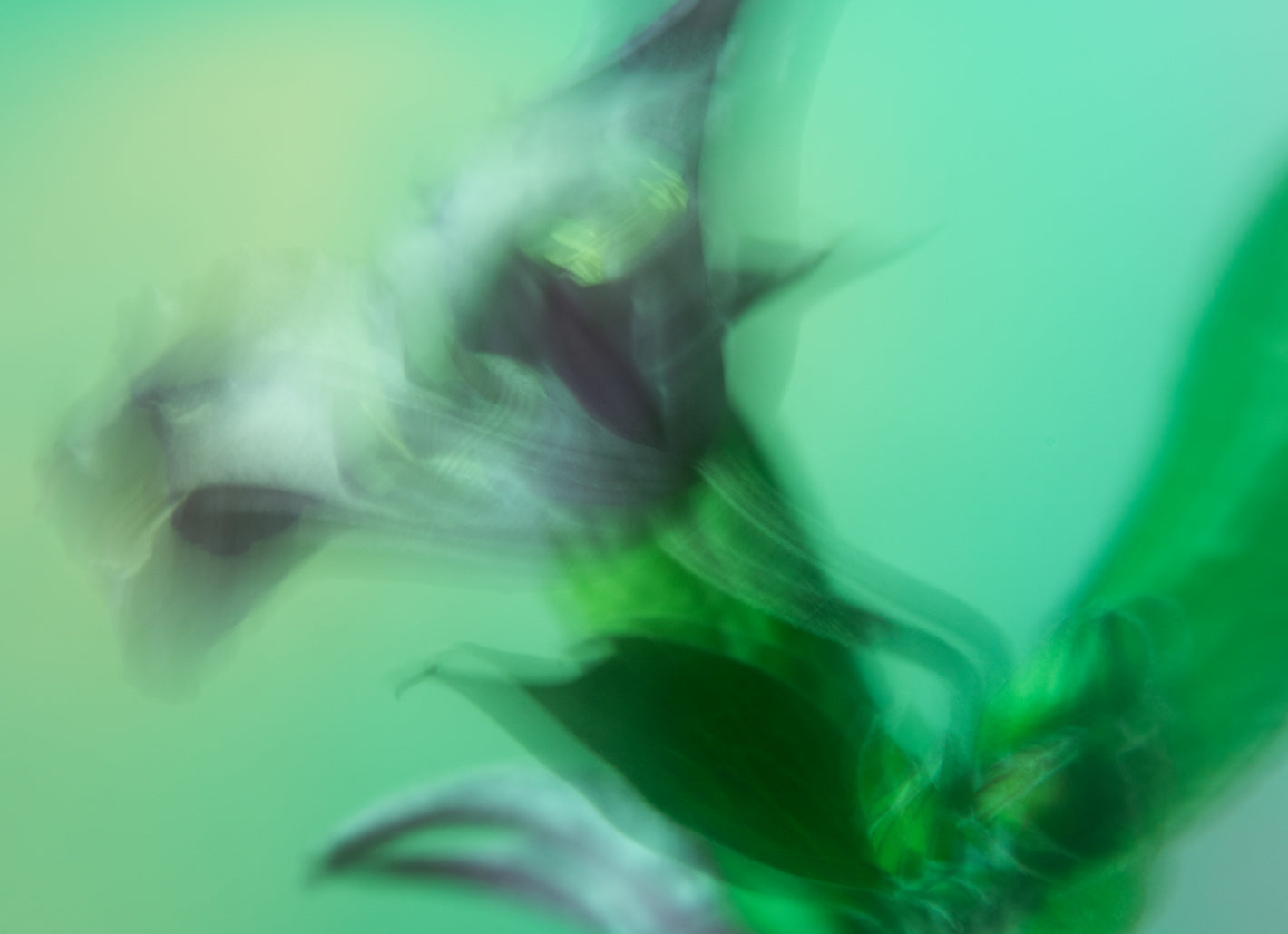 Botanische Droom - II 