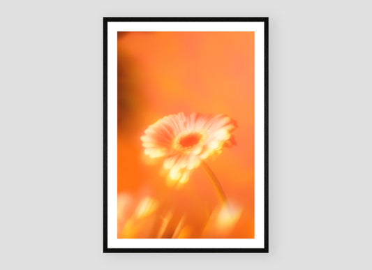 Botanische Droom - III 