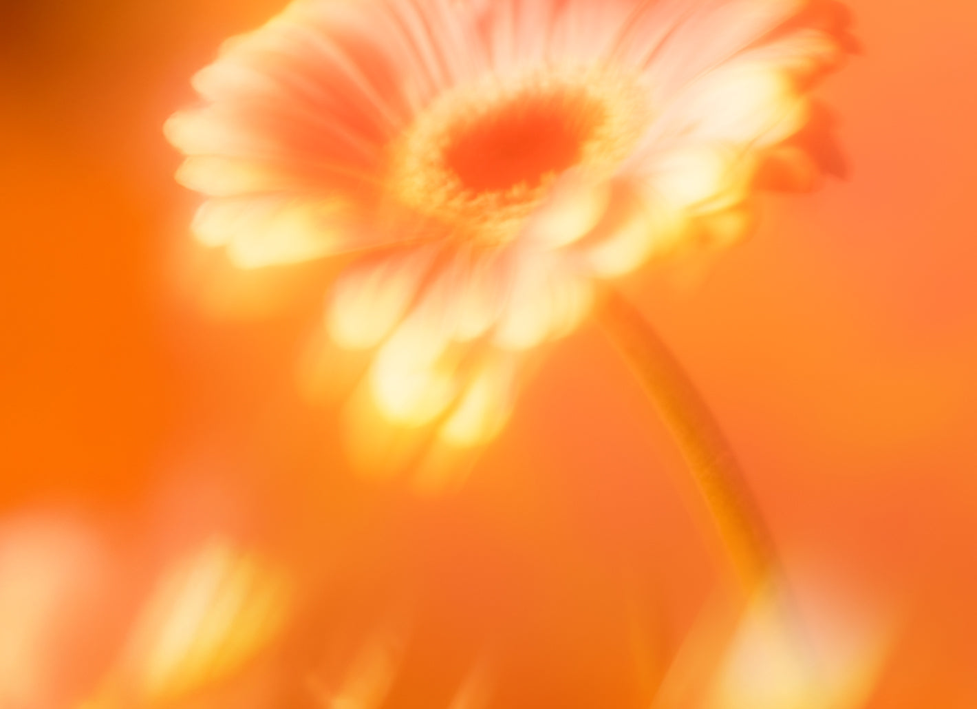 Botanische Droom - III 