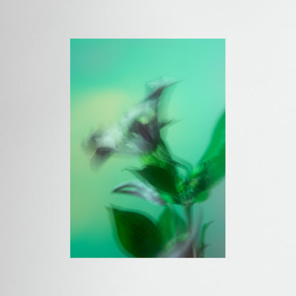 Botanical Dream - II