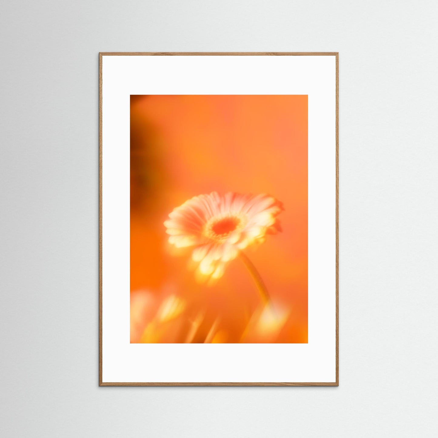 Botanical Dream - III