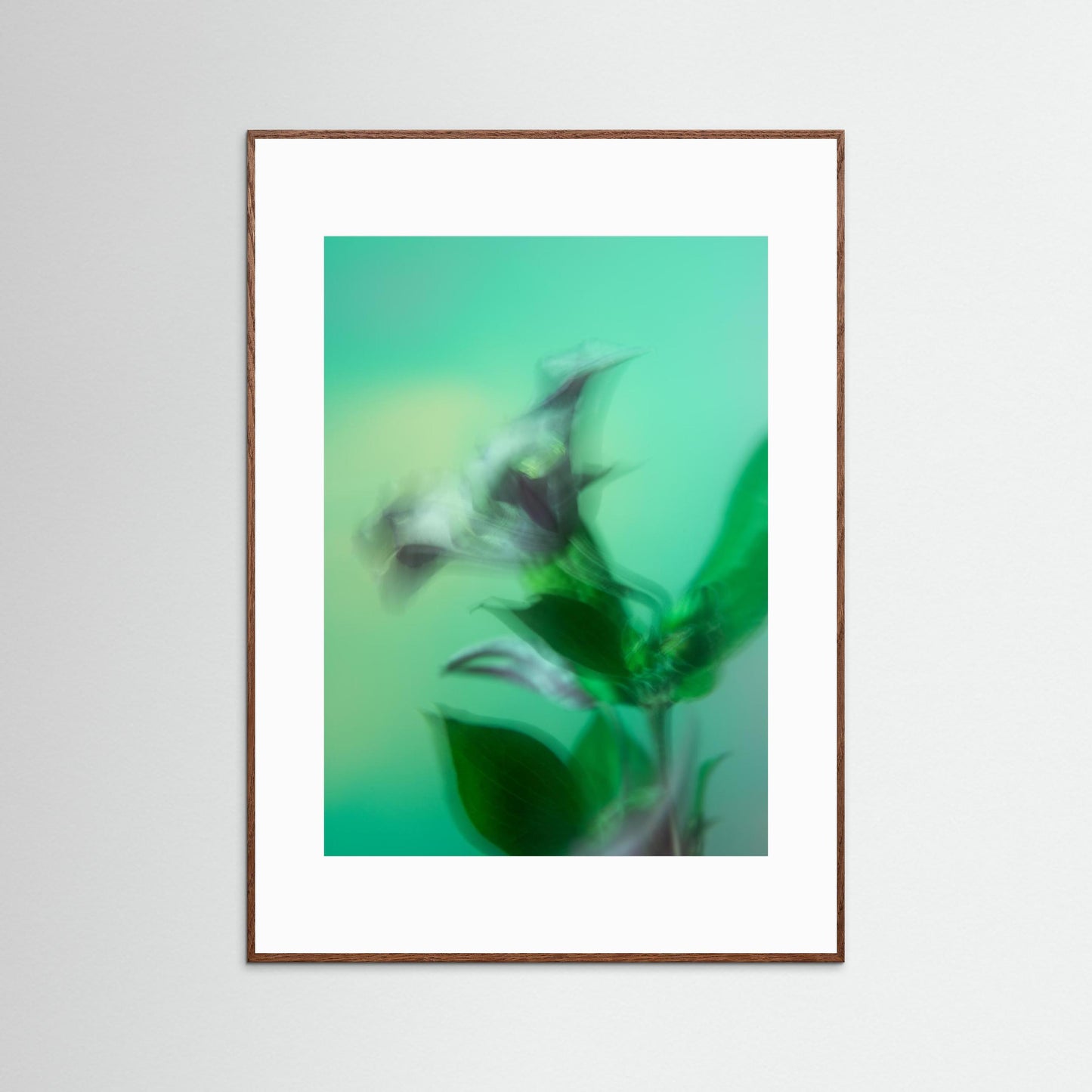 Botanical Dream - II