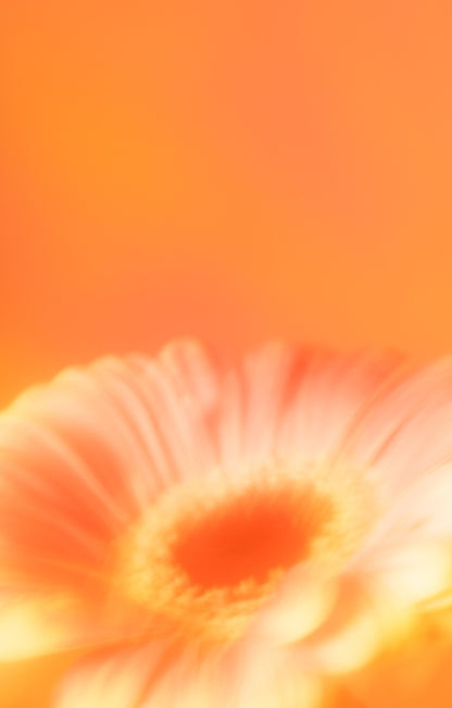 Botanical Dream III